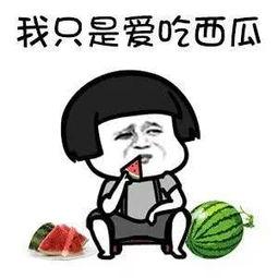 吃瓜娱乐中,揭秘明星幕后故事，吃瓜群众狂欢时刻